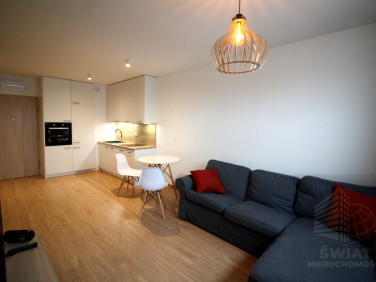 Mieszkanie blok mieszkalny wynajem