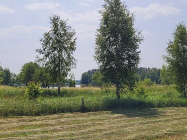 Działka rolna Dobra Wola sprzedam