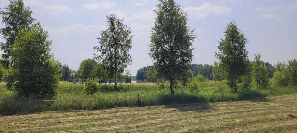 Działka rolna Dobra Wola sprzedam