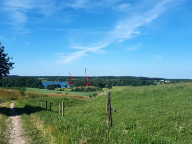 Działka rolna Dobra Wola