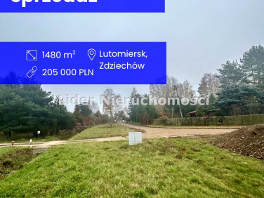 Pusta działka Zdziechów