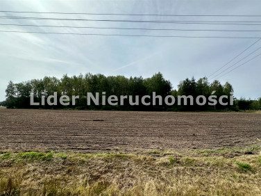 Działka budowlana Buczek sprzedam