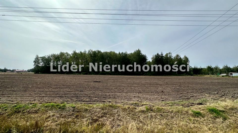 Działka budowlana Buczek sprzedam