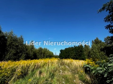 Działka budowlana Ksawerów sprzedam