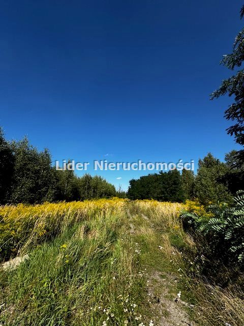 Działka budowlana Ksawerów sprzedam