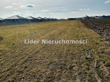 Działka Piątkowisko