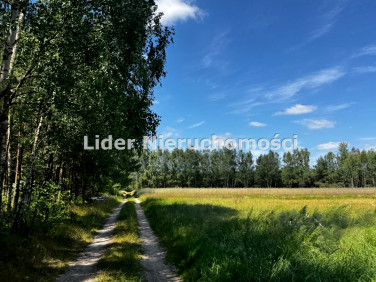 Działka Kustrzyce