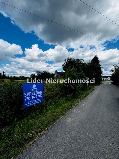 Zdjęcie 3