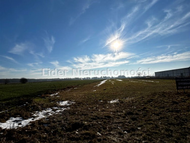 Działka Dobroń Mały