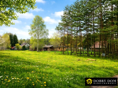 Działka budowlana Białowieża sprzedam