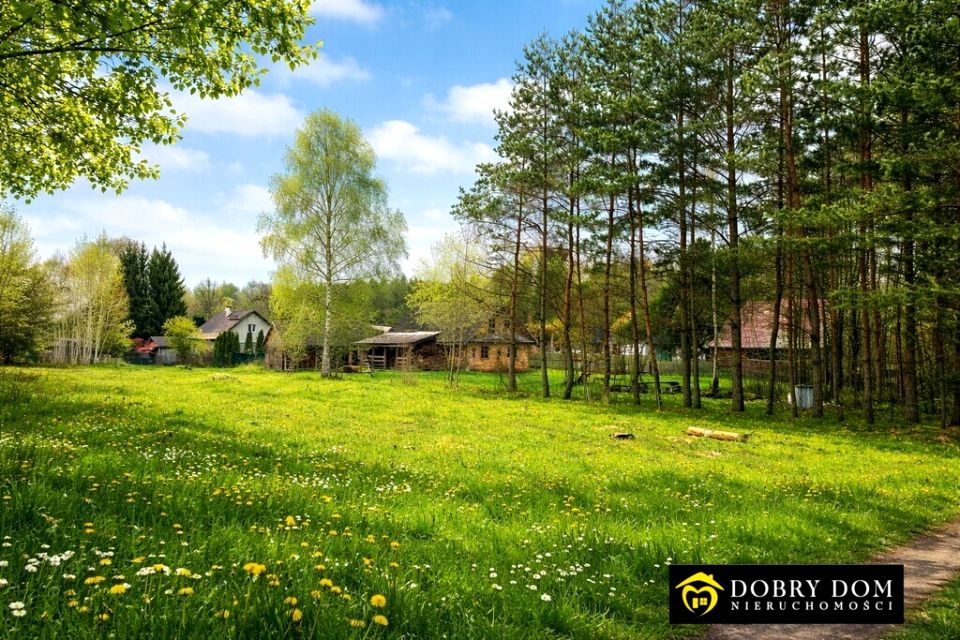Działka budowlana Białowieża sprzedam
