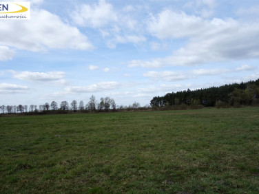 Działka budowlano-rolna Prądki