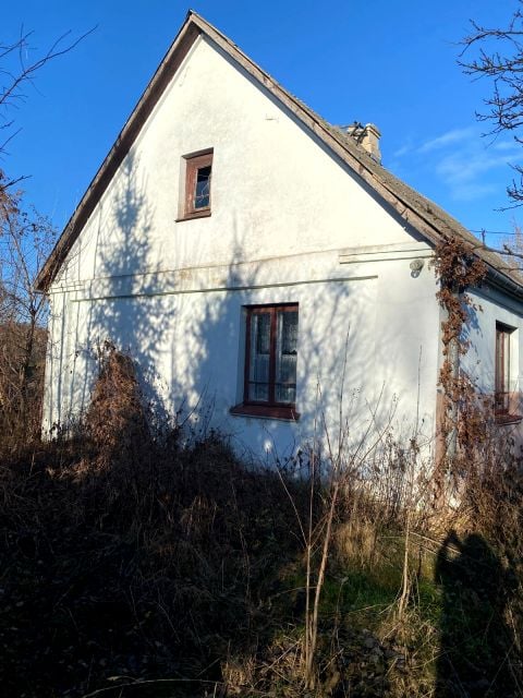 Zdjęcie 3