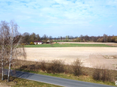 Działka Zalesie