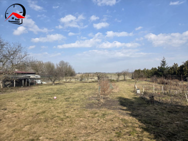 Działka budowlana Jacewo