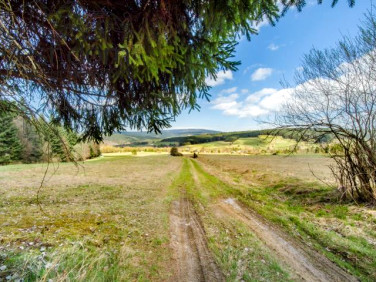 Działka rolna Skwirtne