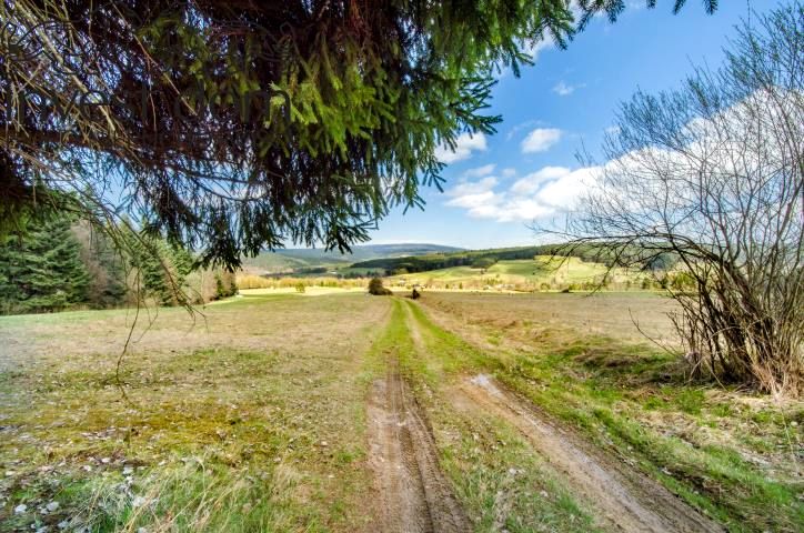 Działka rolna Skwirtne