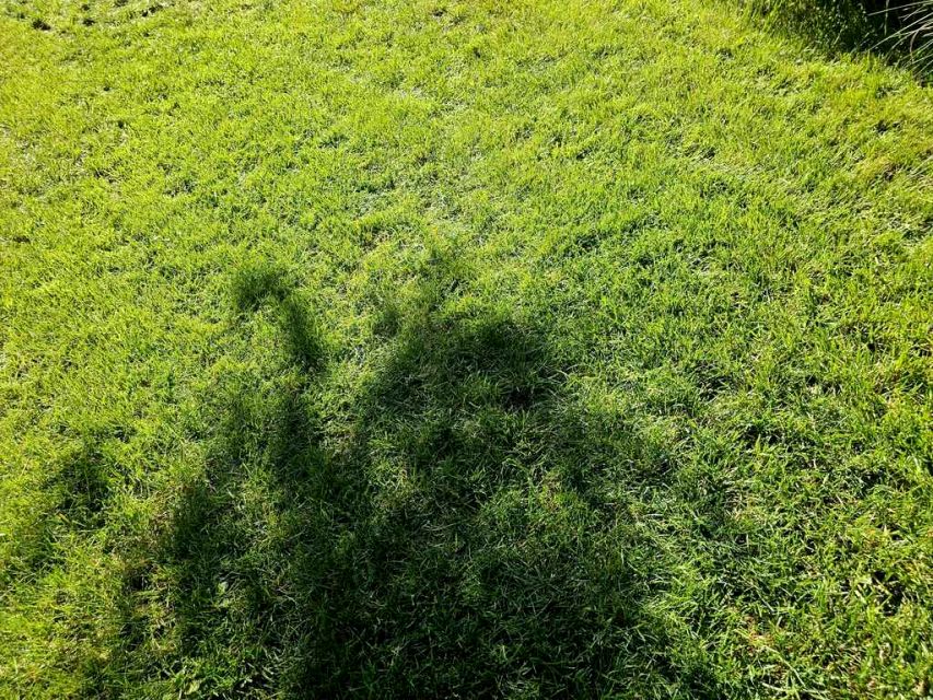 Działka Władysławów