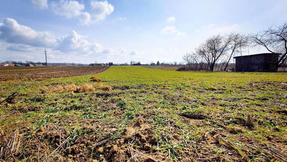 Działka budowlana Miłocin sprzedam
