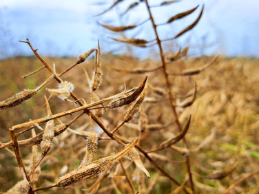 Działka usługowa Nałęczów sprzedam