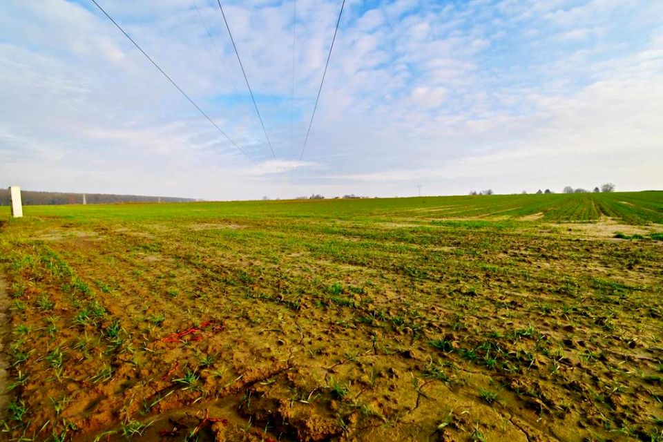 Działka Zemborzyce Podleśne