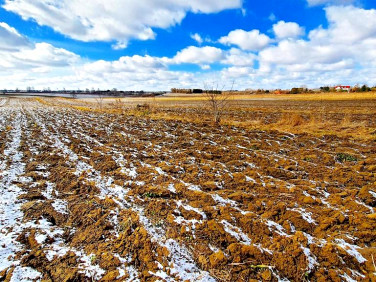 Działka rolna Płouszowice-Kolonia sprzedam