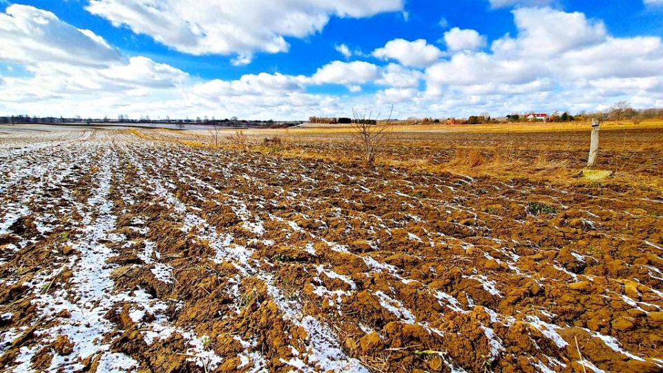 Działka rolna Płouszowice-Kolonia sprzedam