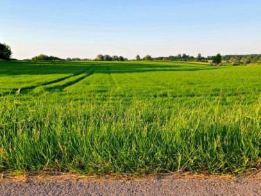 Działka budowlana Miłocin sprzedam