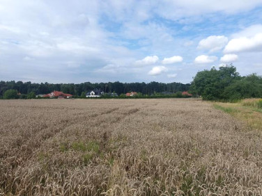 Działka budowlana Świdnik