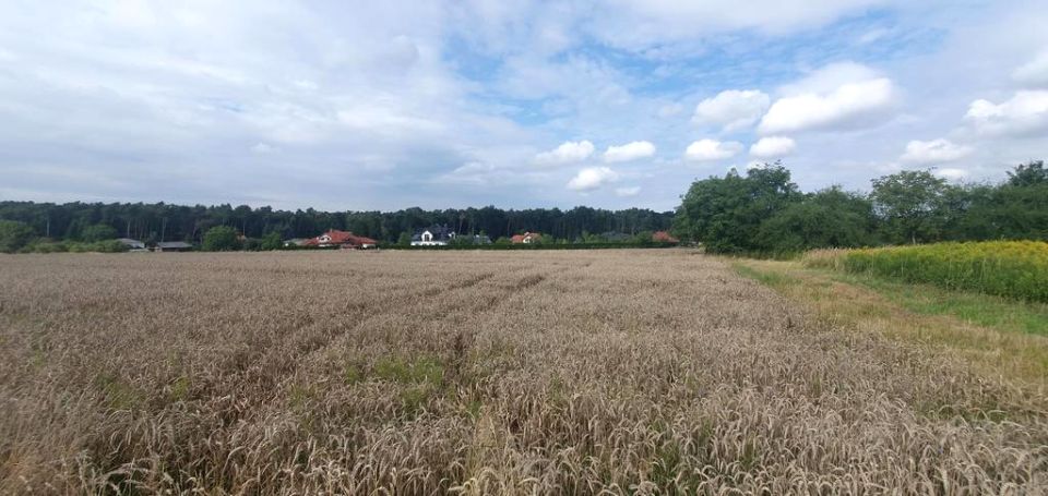 Działka budowlana Świdnik