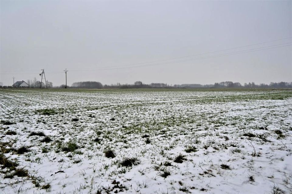 Działka przemysłowa Ludwin sprzedam
