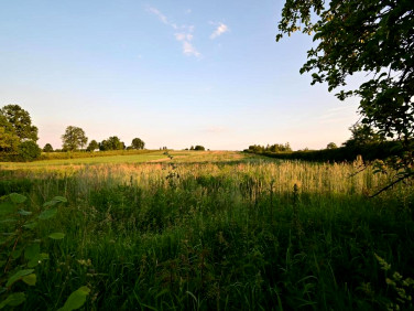 Działka budowlana Panieńszczyzna sprzedam