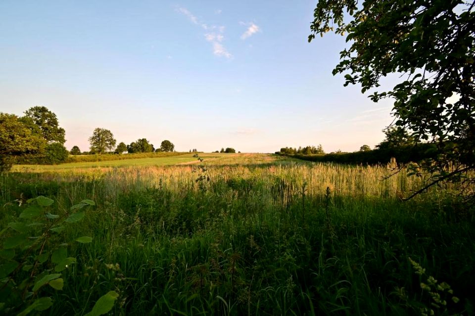 Działka budowlana Panieńszczyzna sprzedam
