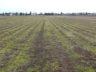 Działka budowlana sprzedam