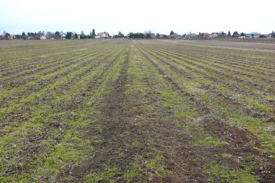 Działka budowlana sprzedam