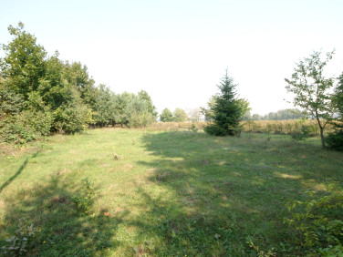 Działka budowlana Gołąb sprzedam