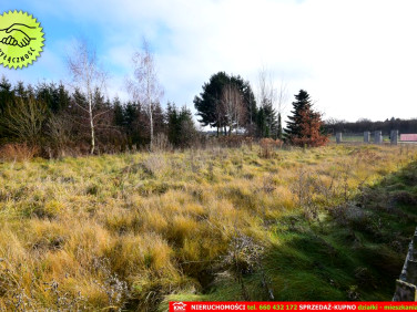 Działka budowlana MOTYCZ
