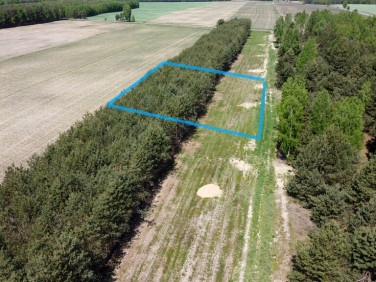 Działka budowlana Wólka Gonciarska sprzedam