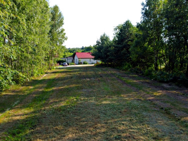 Działka Kazimierz Dolny