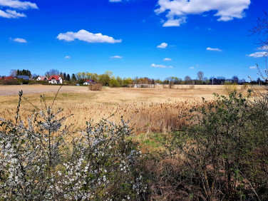 Działka rolna Miłocin