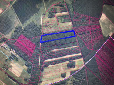 Działka leśna Brody sprzedam