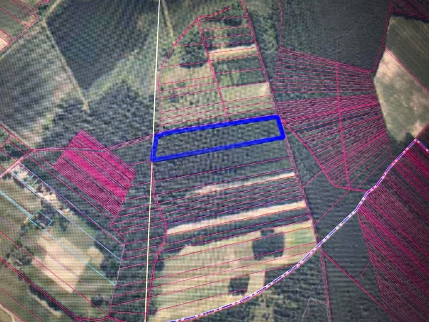 Działka leśna Brody sprzedam