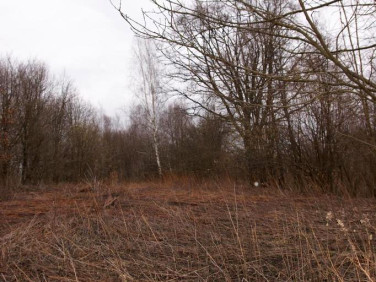 Działka budowlana Kazimierz Dolny sprzedam