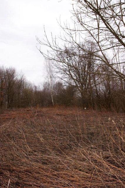 Działka budowlana Kazimierz Dolny sprzedam
