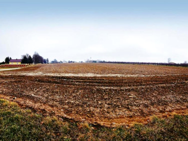 Działka budowlana Tomaszowice sprzedam