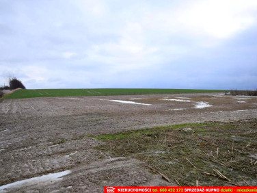 Działka budowlana Wierciszów