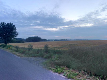 Działka budowlana Piotrkówek sprzedam