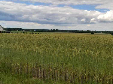 Działka budowlana Starościn sprzedam