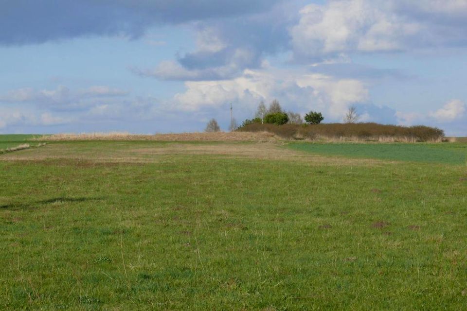 Działka rolna Przytoczno