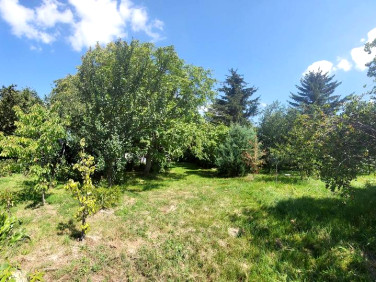 Działka budowlana Gutanów sprzedam